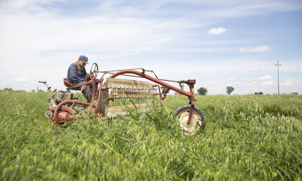 This land is my land. Itinerario attraverso le mostre della provincia reggiana del circuito Off