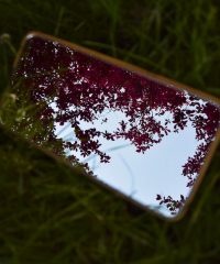 Liceo Chierici, classe 3G